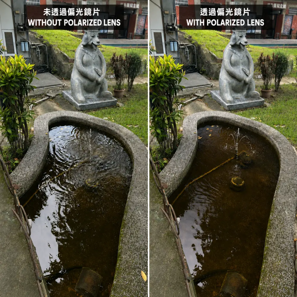 兩者比較-1000